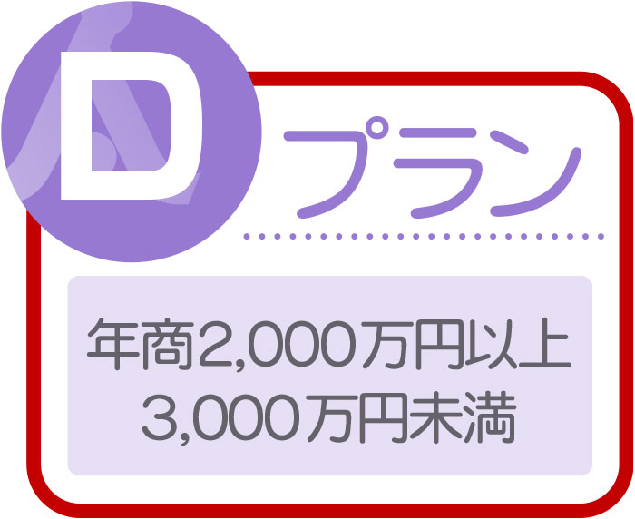 Dプラン年商2,000万円以上3,000万円未満