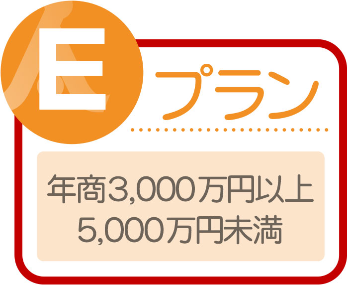 Eプラン年商3,000万円以上5,000万円未満